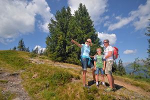 Wandern in Forstau