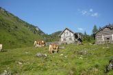 Berglandschaft